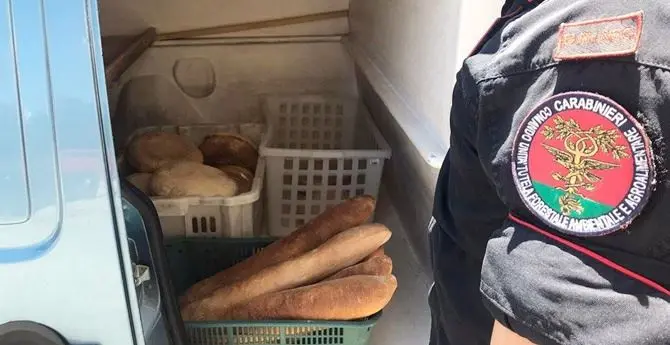 Produzione e vendita abusiva, sequestrati due quintali di pane nel Cosentino