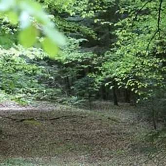 Parco delle Serre, nominato il commissario: è Giovanni Aramini