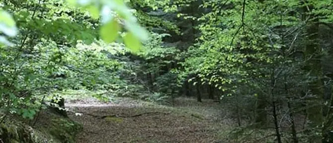 Parco delle Serre, nominato il commissario: è Giovanni Aramini