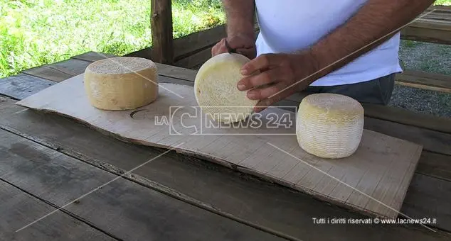 Pecorino del Poro, con il Dop arriva l'interesse della grande distribuzione