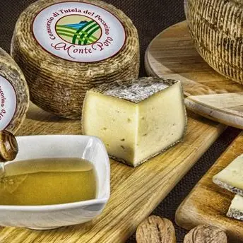 Pecorino Monte Poro Dop, il Consorzio: «Ora alla conquista delle tavole internazionali»