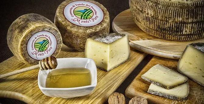 Pecorino Monte Poro Dop, il Consorzio: «Ora alla conquista delle tavole internazionali»