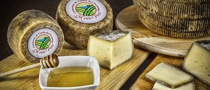 Pecorino Monte Poro Dop, il Consorzio: «Ora alla conquista delle tavole internazionali»