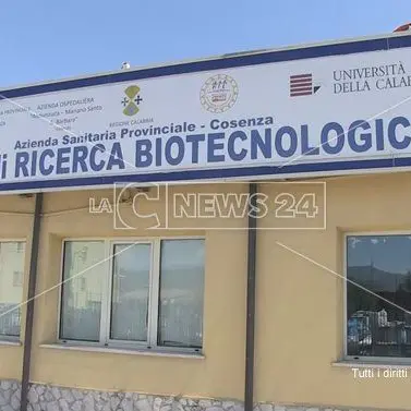 Cosenza, l'Ail denuncia: «Diagnosi ematologiche più costose e meno precise»