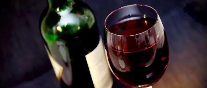 Degustazioni e incontri, le cantine calabresi aprono le porte agli appassionati