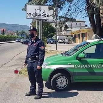 Corigliano, individuati due immobili abusivi: sequestri e denunce