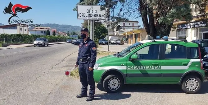 Corigliano, individuati due immobili abusivi: sequestri e denunce
