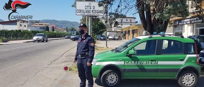 Corigliano, individuati due immobili abusivi: sequestri e denunce