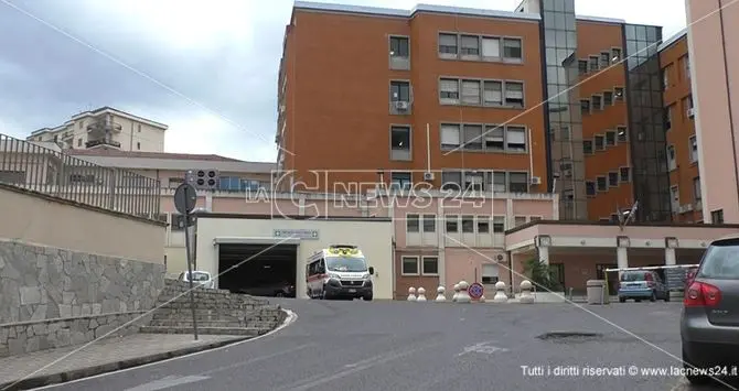 Brutta avventura per un 14enne, aggredito da un cane finisce in ospedale