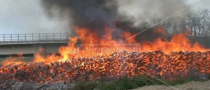 Rischio incendi, dalla Regione 10 milioni per la pulizia delle strade