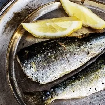 “Stati generali del mare calabrese”: così la Regione promuove la pesca e i prodotti ittici