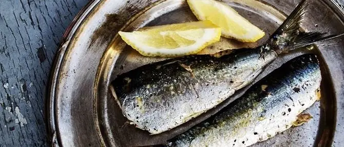 “Stati generali del mare calabrese”: così la Regione promuove la pesca e i prodotti ittici