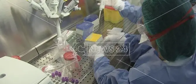 Coronavirus, a Cosenza bimba di quattro anni positiva: famiglia in quarantena