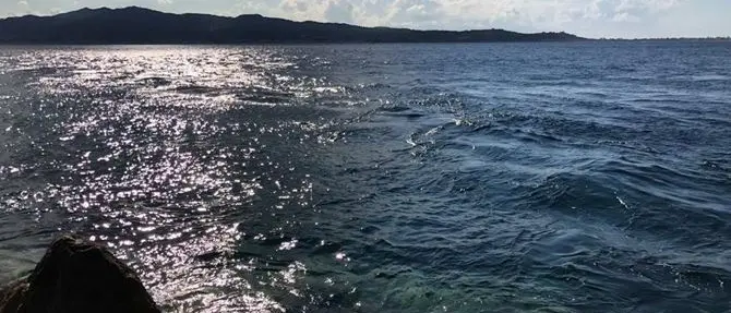 Il senatore Siclari soccorre due ragazzi in mare e poi manda la nota stampa