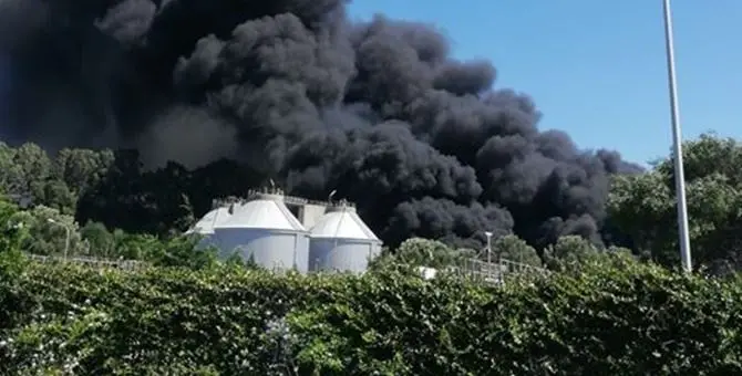 Vasto incendio nel depuratore di Gioia, vigili del fuoco sul posto: video