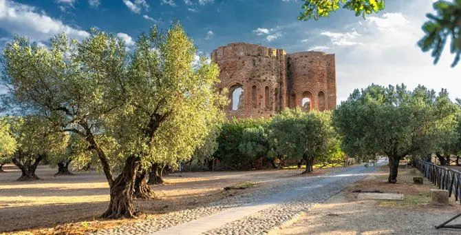 Borgia, riapre il parco archeologico di Scolacium: ingressi contingentati