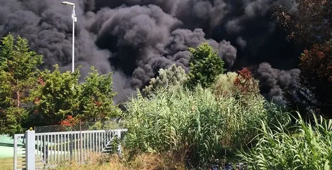 Depuratore di Gioia Tauro, è doloso l'incendio divampato ieri pomeriggio: video