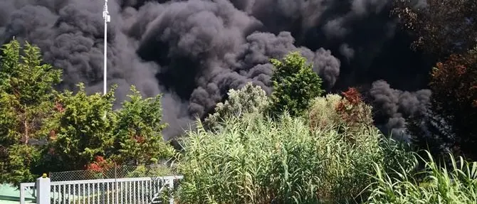 Depuratore di Gioia Tauro, è doloso l'incendio divampato ieri pomeriggio: video