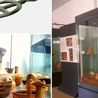 Riapre il museo di Amendolara: ingressi contingentati e gratuiti