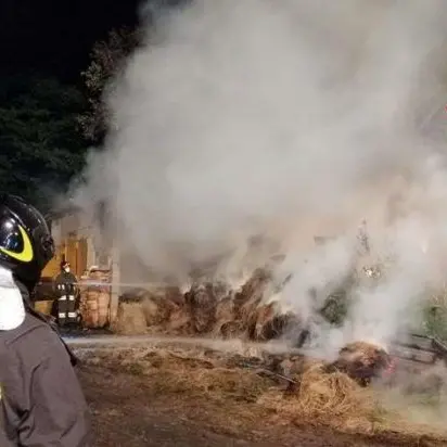 Incendio in una stalla nel Vibonese, i vigili del fuoco salvano gli animali