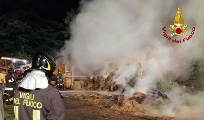 Incendio in una stalla nel Vibonese, i vigili del fuoco salvano gli animali