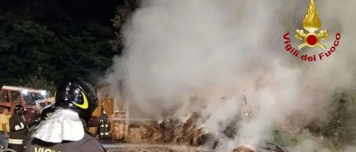 Incendio in una stalla nel Vibonese, i vigili del fuoco salvano gli animali