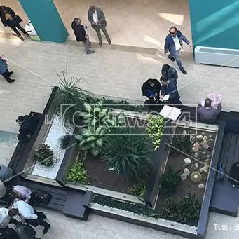 White Collar, i sindacati: «Nessun dipendente del Tribunale di Castrovillari tra gli arrestati»