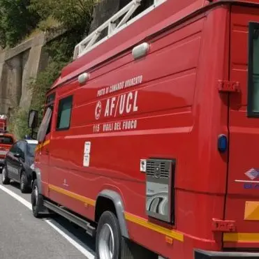 Si perde nei boschi del Cosentino, le ricerche vanno avanti da ore
