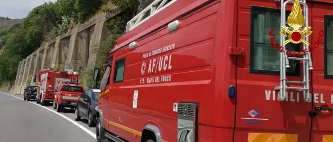 Si perde nei boschi del Cosentino, le ricerche vanno avanti da ore