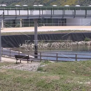 Parco acquatico Rende, si va verso l'affidamento: creditori restano a bocca asciutta