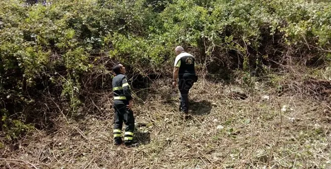 Trovato morto il 41enne di Lorica scomparso da 4 giorni: il corpo rinvenuto sotto un viadotto