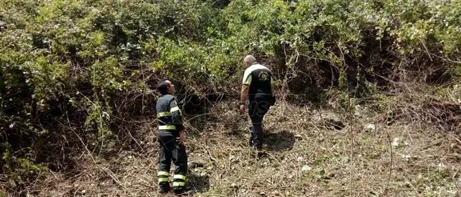 Trovato morto il 41enne di Lorica scomparso da 4 giorni: il corpo rinvenuto sotto un viadotto