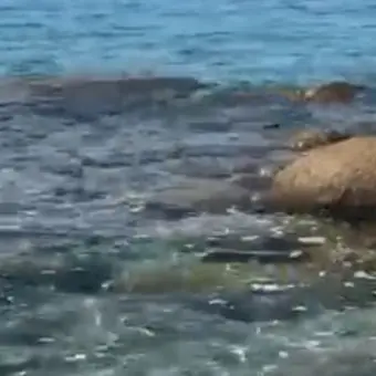 Parghelia, schiuma in mare e i turisti denunciano: «Qui i depuratori non funzionano»
