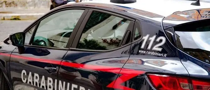 Testa di capra mozzata e auto in fiamme, un indagato per l’intimidazione a Camini