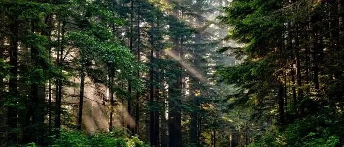 Regione, in arrivo un milione per la tutela di biodiversità e zone rurali