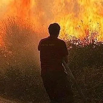 Weekend di fuoco in provincia di Cosenza: oltre 40 gli incendi
