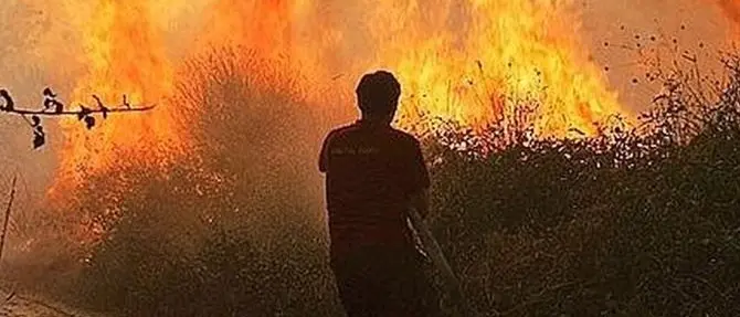 Weekend di fuoco in provincia di Cosenza: oltre 40 gli incendi