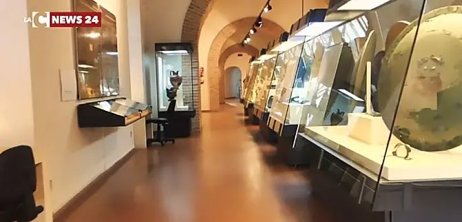 Vibo Valentia, il Museo archeologico riparte a pieno regime