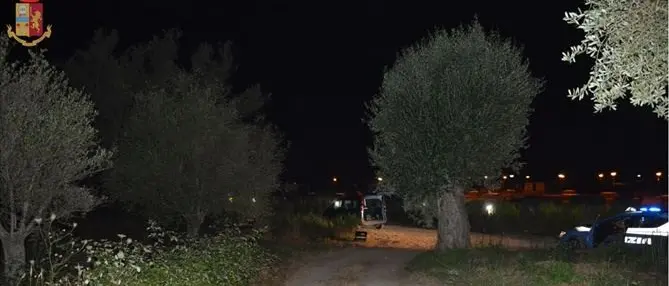 Vibo, tentò di uccidere il cognato per dissidi sui terreni: arresto convalidato