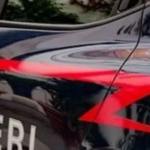 Omicidio a Rosarno: 43enne ucciso nella notte a colpi d'arma da fuoco, ferito il figlio