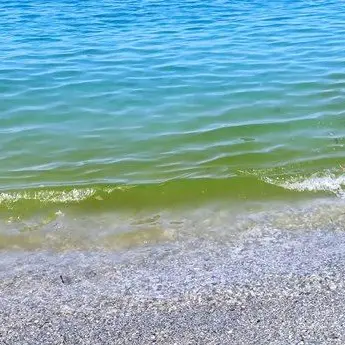 Il mare come una discarica, rifiuti e acqua verde: benvenuti nella costa lametina
