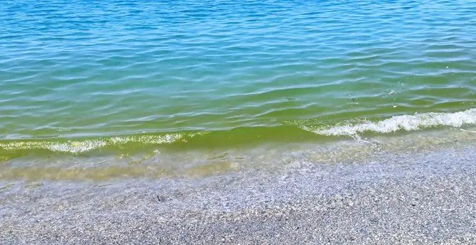 Il mare come una discarica, rifiuti e acqua verde: benvenuti nella costa lametina