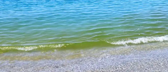 Il mare come una discarica, rifiuti e acqua verde: benvenuti nella costa lametina