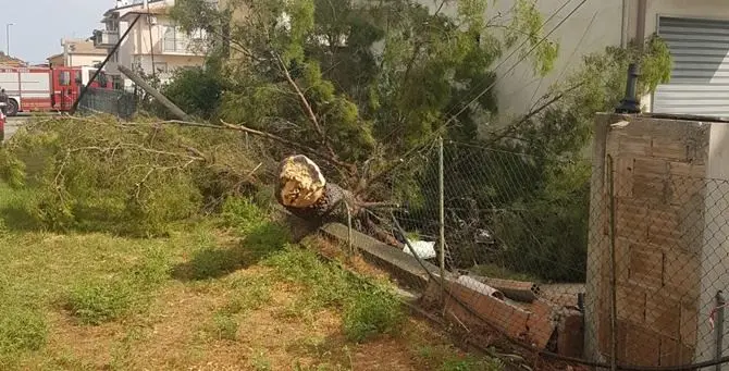 Alberi abbattuti e infissi divelti, tromba d'aria semina il panico nel Cosentino