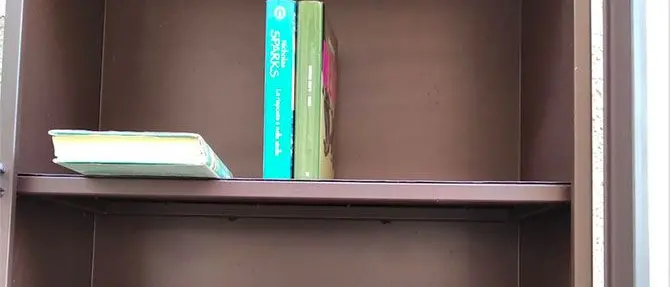 Saracena, nella piazza del paese apre la prima biblioteca diffusa Little free library