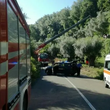 Muore schiacciato da un trattore, tragico incidente nel Vibonese