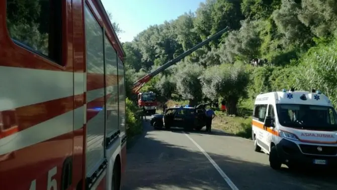 Muore schiacciato da un trattore, tragico incidente nel Vibonese