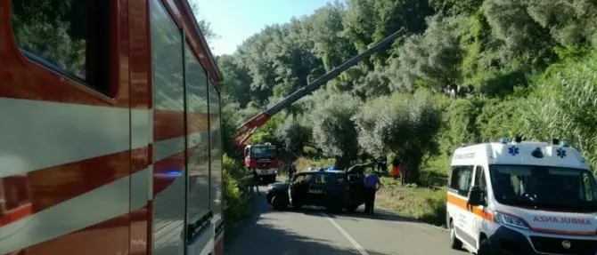 Muore schiacciato da un trattore, tragico incidente nel Vibonese