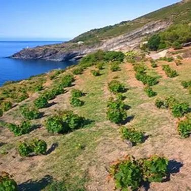 Nuove tecnologie per valorizzare i siti storici, nasce il protocollo Pantelleria