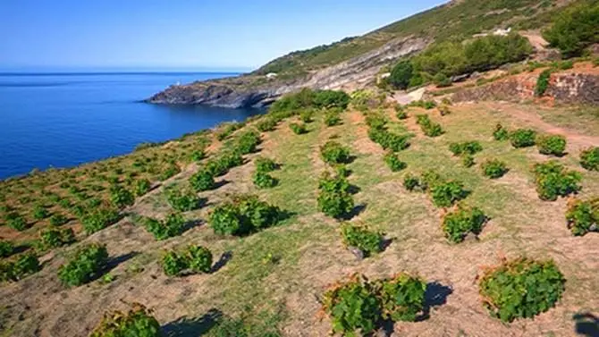 Nuove tecnologie per valorizzare i siti storici, nasce il protocollo Pantelleria